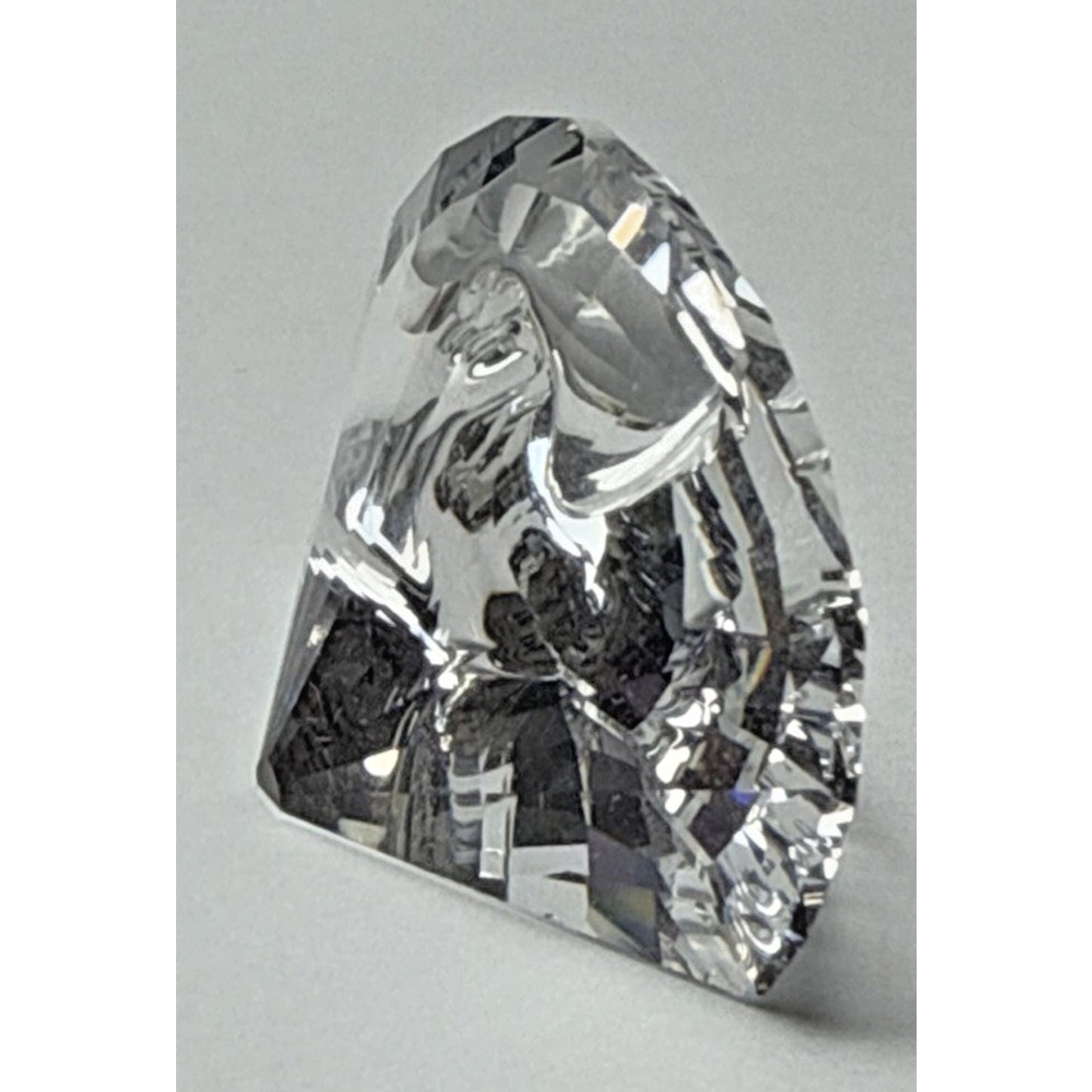Swarovski Crystal 2015 SCS Renewal Gift Peacock 5063699 Paperweight