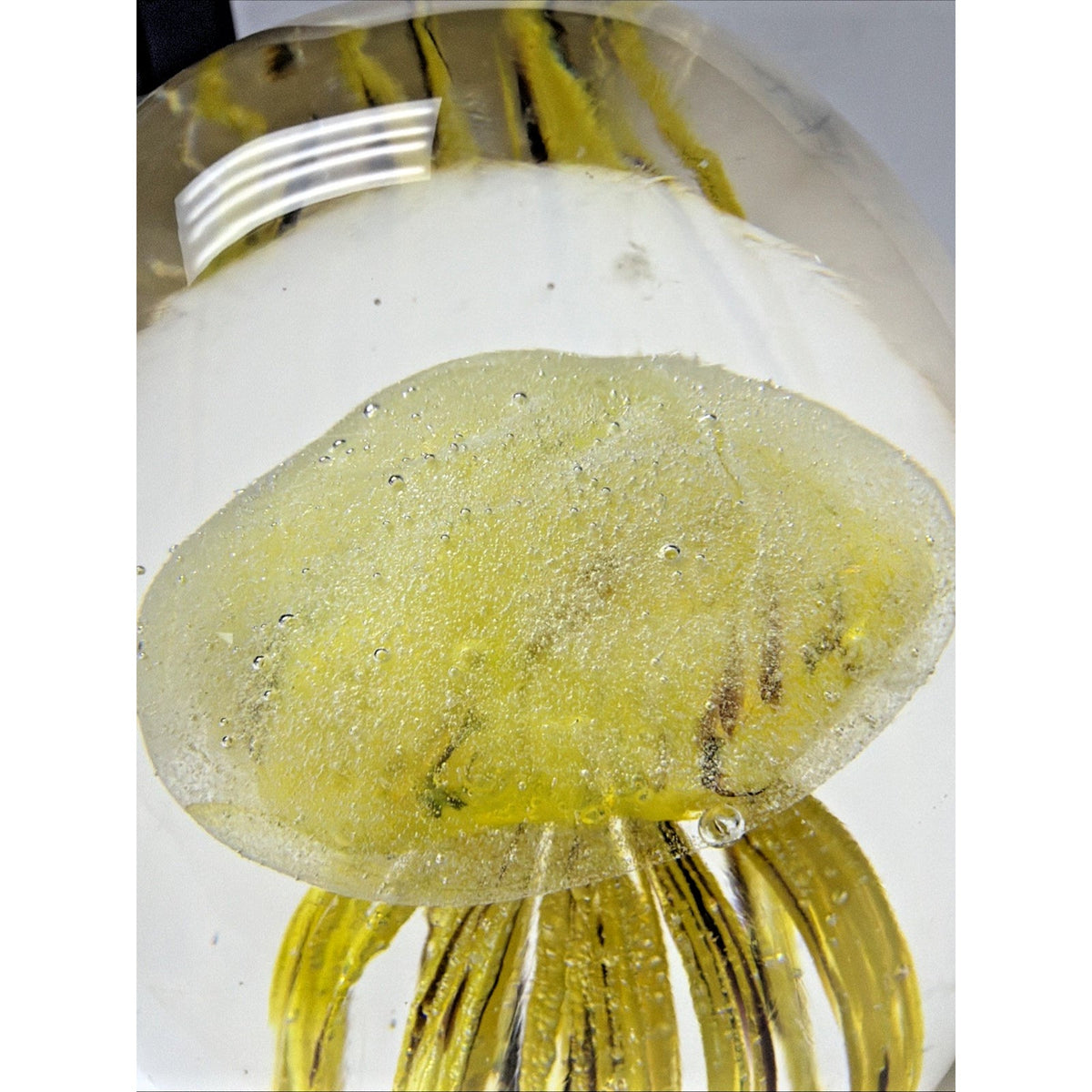 Dynasty Gallery Art Glass Jellyfish Paperweight Yellow Black UV Reactive Glows