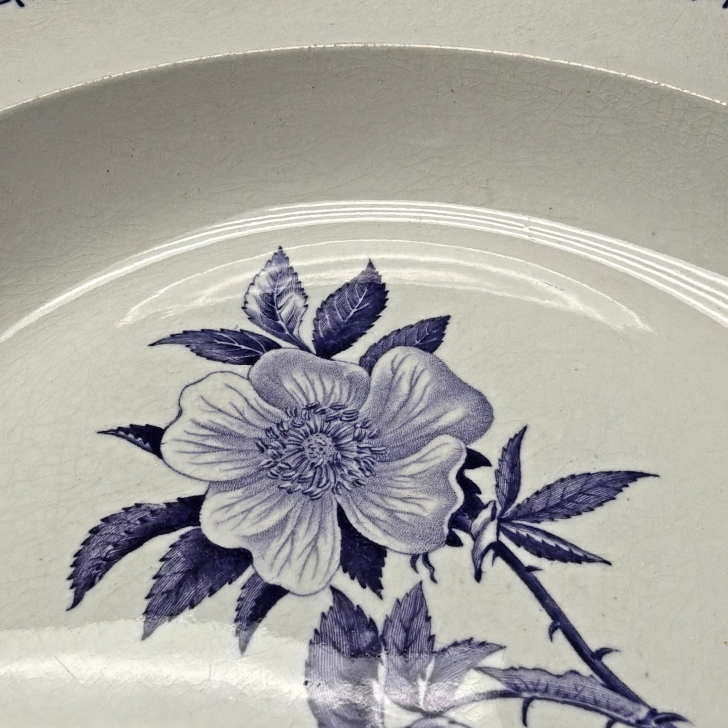 Antique Wedgwood Wild Rose Ironstone Blue Transferware Plate Bowl As Is