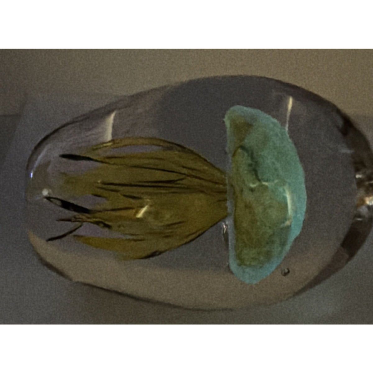 Dynasty Gallery Art Glass Jellyfish Paperweight Yellow Black UV Reactive Glows