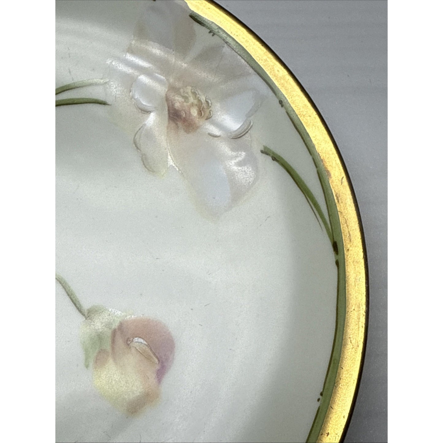 Old RS Prussia Germany Hand Painted Cabinet Plate Gold Floral Signed