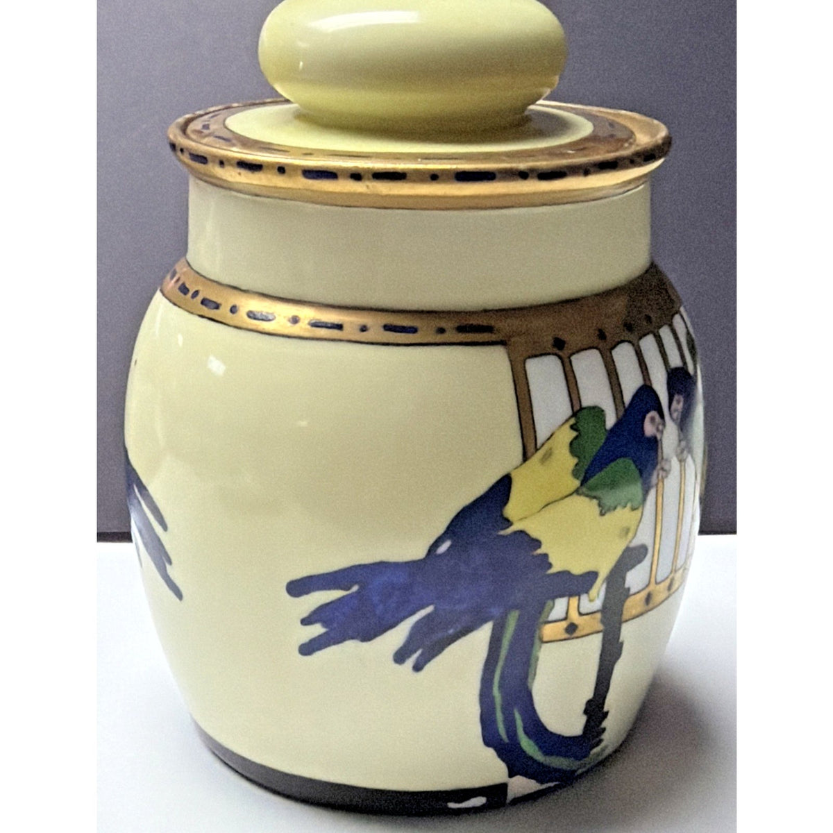 Antique Imperial Austria Hand Painted Parrot Jar Canister Humidor Lid As Is