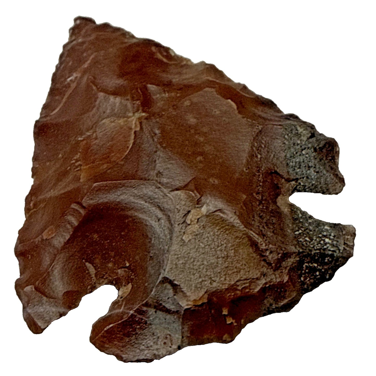Chert Flint Serrated Edge Brown Gray Arrowhead