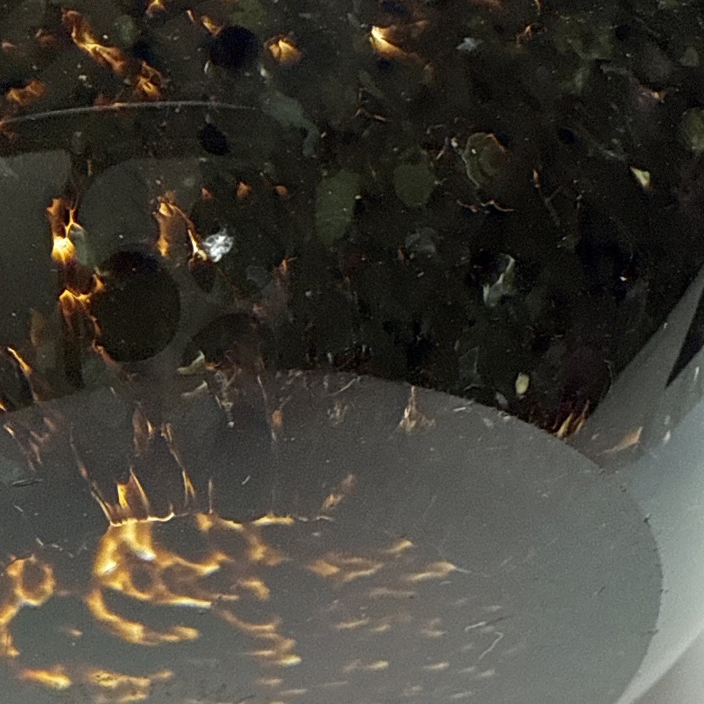 Wedgwood England Crystal Duck Mottled Black Brown Tortoise Glass Figurine Signed