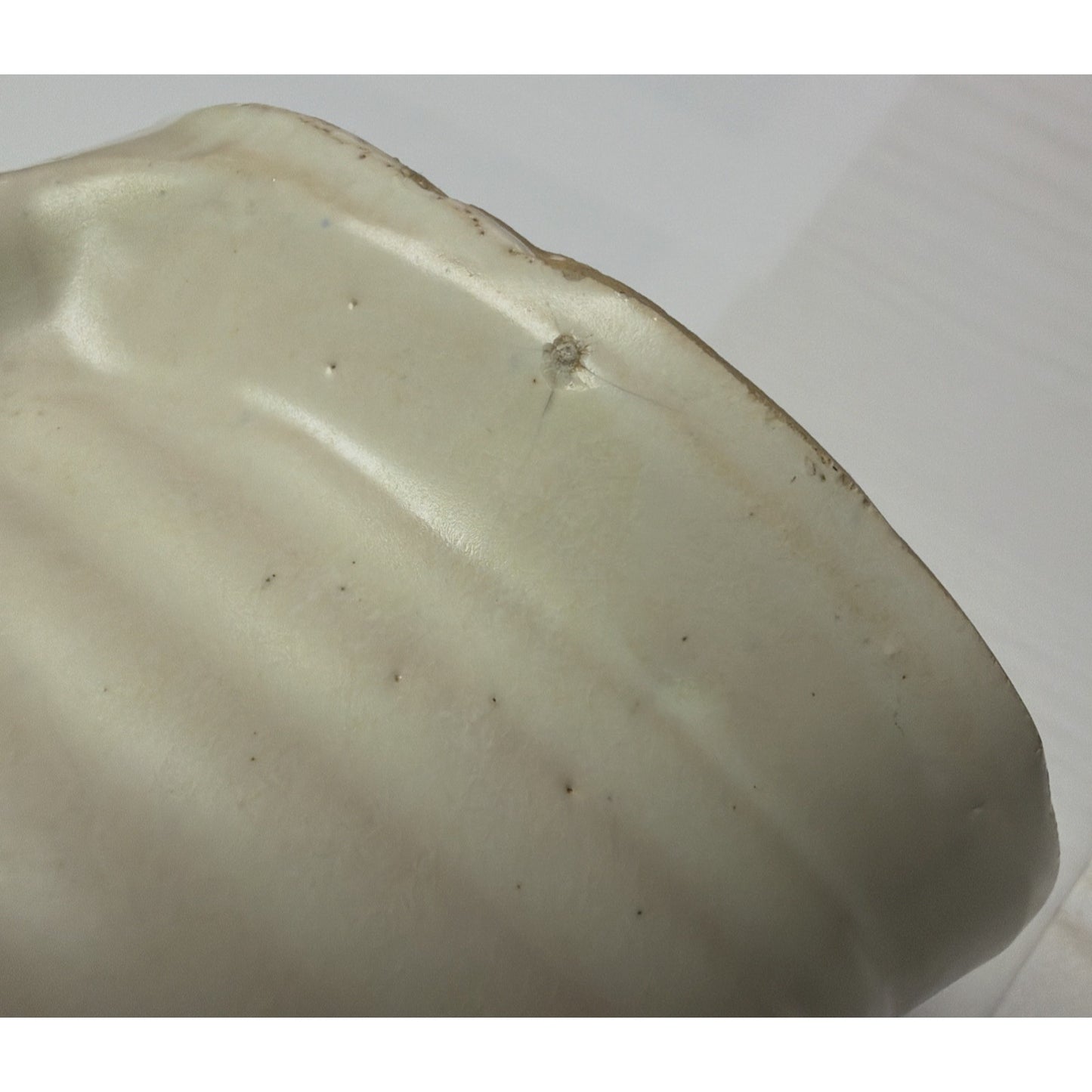 Art Deco McCoy Pottery White Matte Sand Dollar Vase Handles 14" As Is