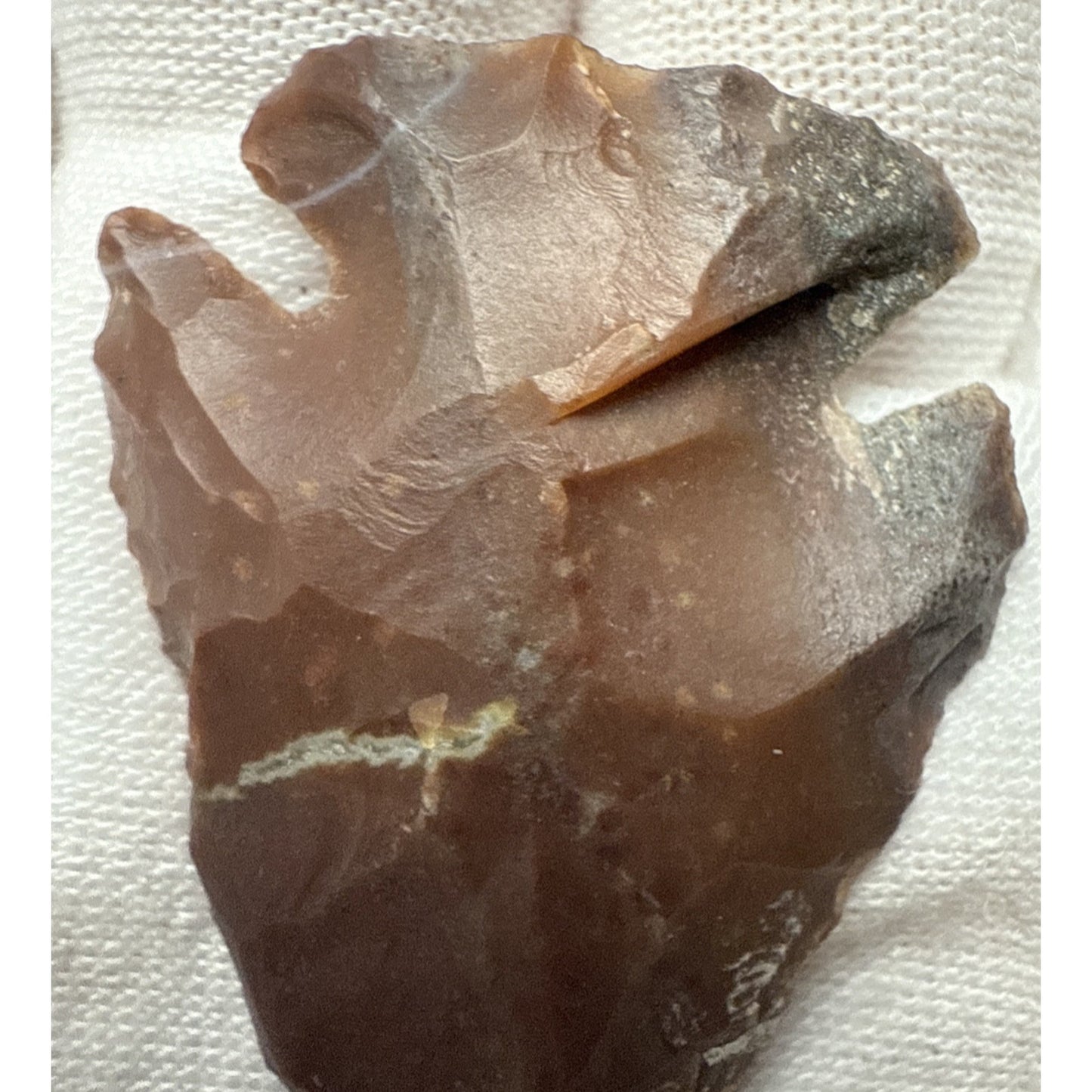 Chert Flint Serrated Edge Brown Gray Arrowhead