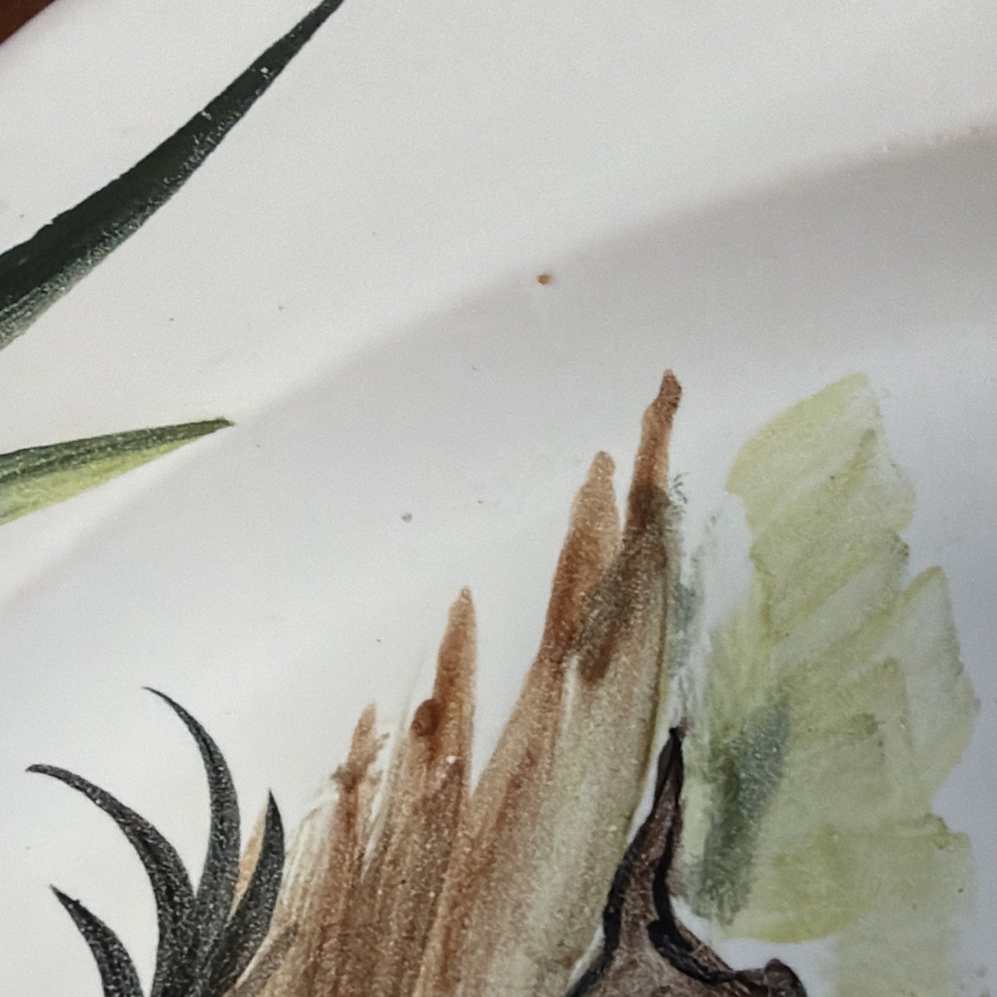 Italy Majolica Pottery Plate Hand Painted Turkey Porcelain Glazed Signed As Is