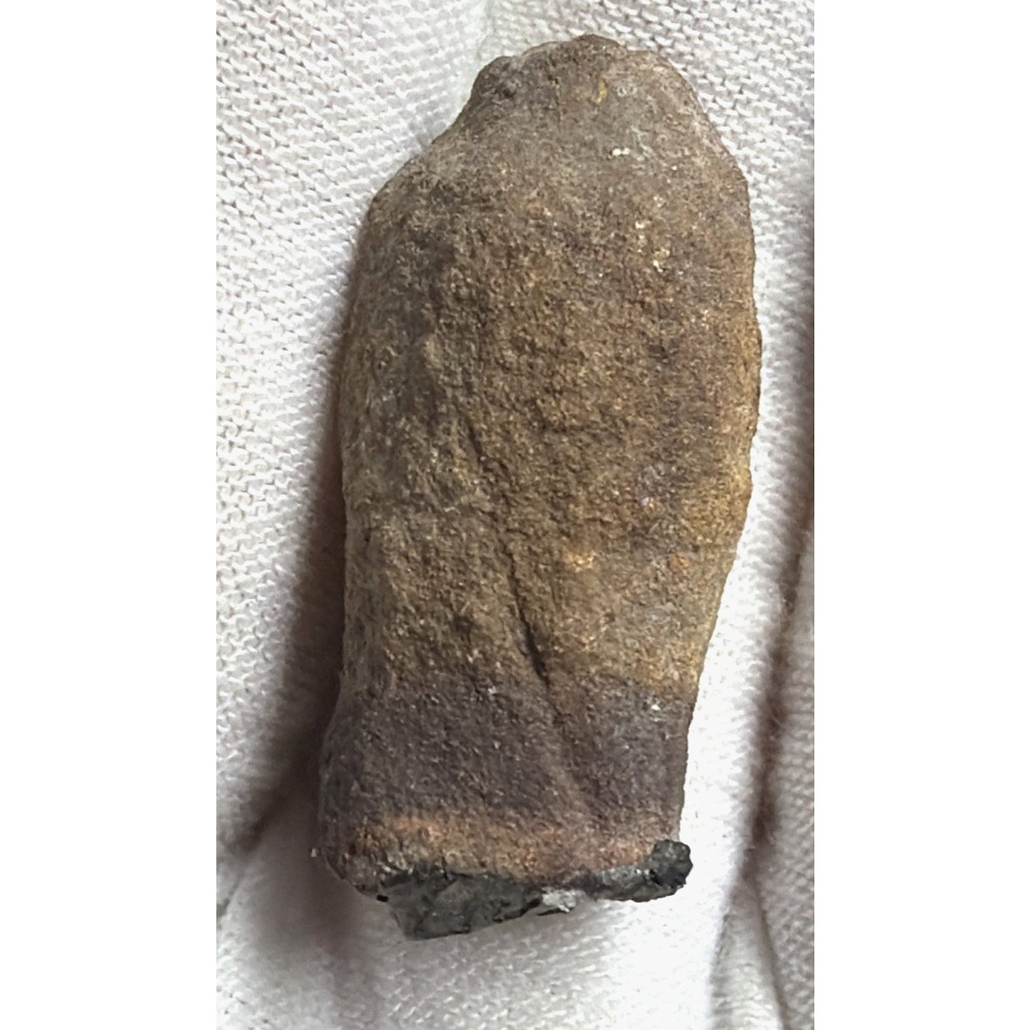 Old Petrified Fossilized Bone Horn Tooth Animal Iowa