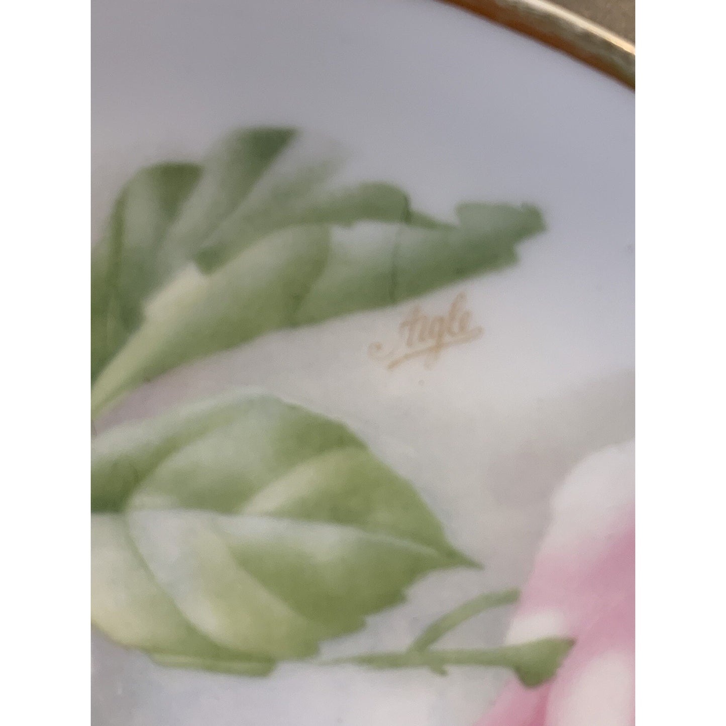 Old RC Rosenthal Kronach Bavaria Hand Painted Roses Floral Plate Signed 8.75"