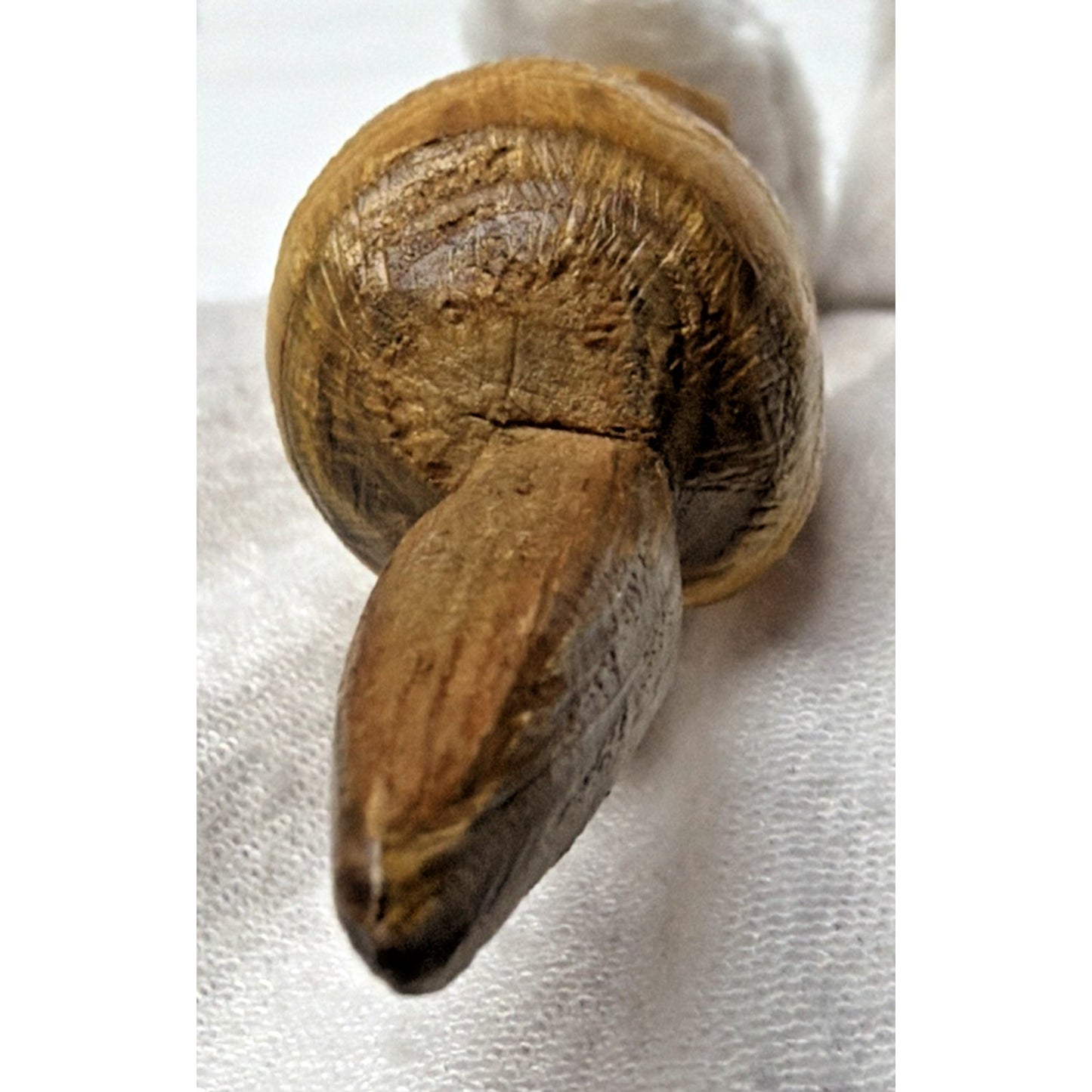Folk Art Wood Carved Woodland Creature Mini Signed Fox Beaver Squirrel Bunny