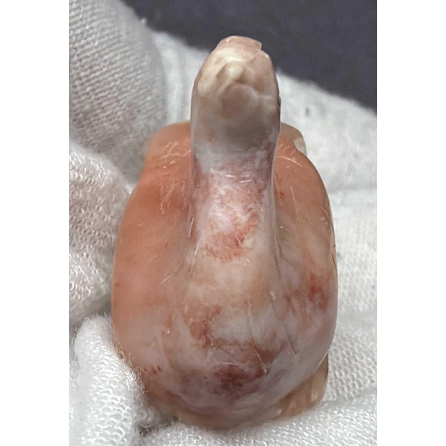 Old Chinese Hand Carved Hetian Jade Nephrite Bird Peacock Figurine Signed As Is