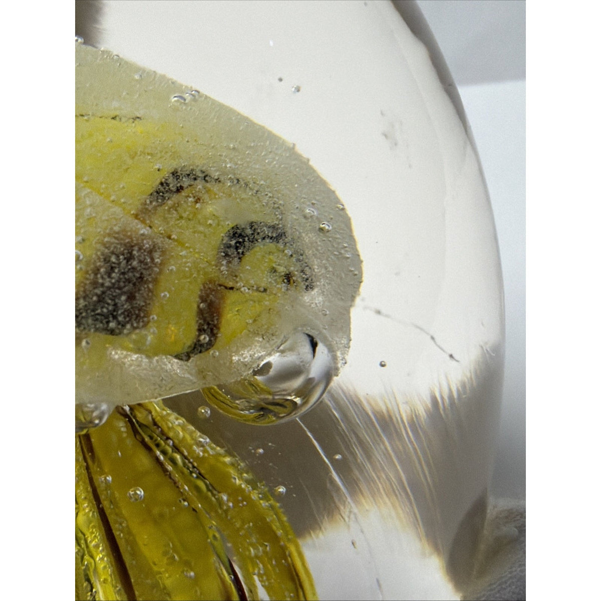 Dynasty Gallery Art Glass Jellyfish Paperweight Yellow Black UV Reactive Glows
