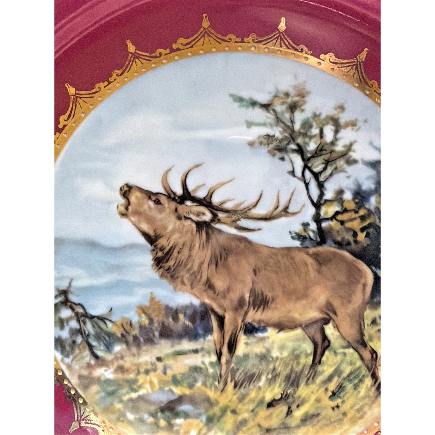 Vintage STW Bavaria Fuchsia Pink Game Plate Gold Ornate Elk Moose