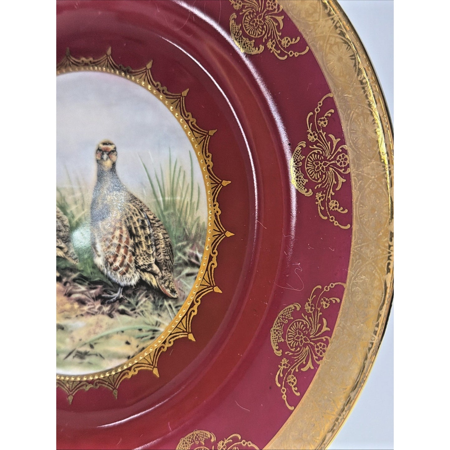 Vintage STW Bavaria Game Plate Pink Fuchsia Quail Gold Gilt Trim Ornate