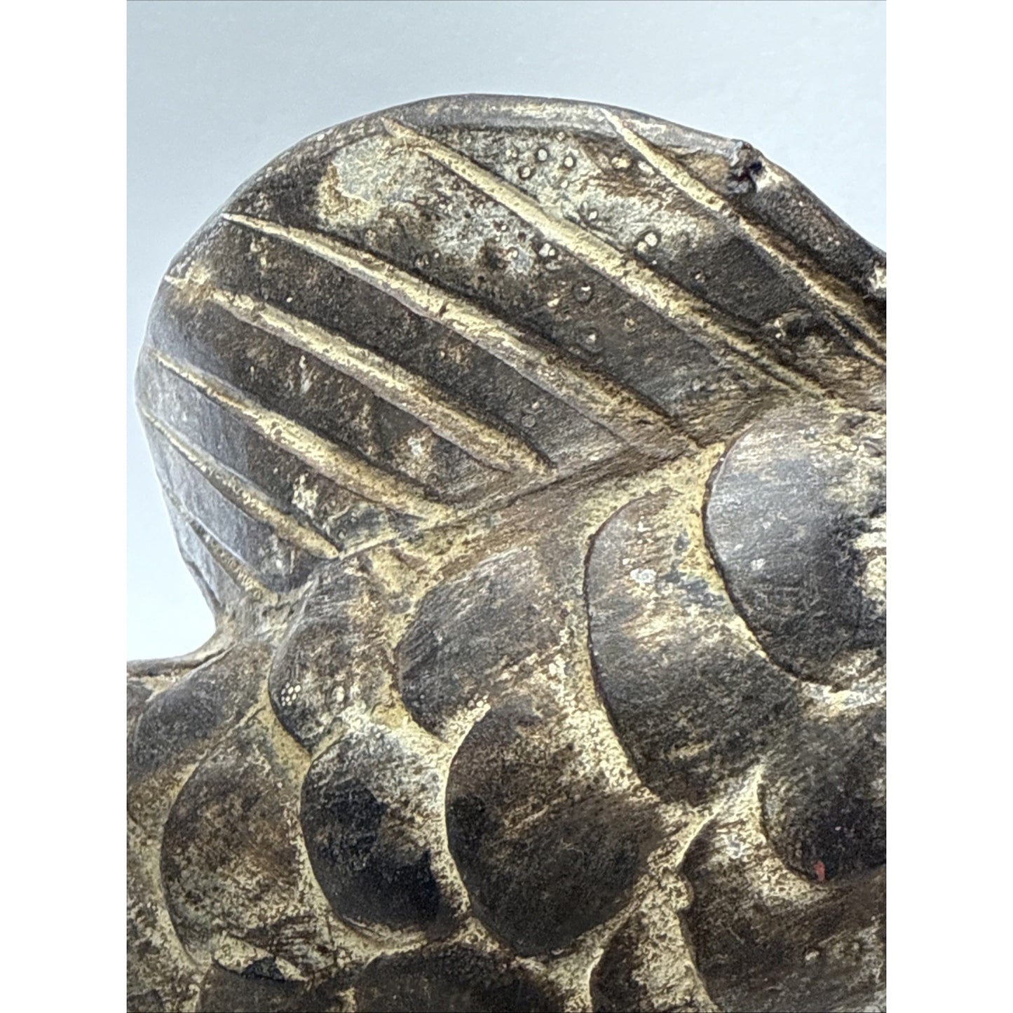 Vintage Asian Inspired Terra Cotta Clay Koi Carp Fish Sculpture Vase As Is