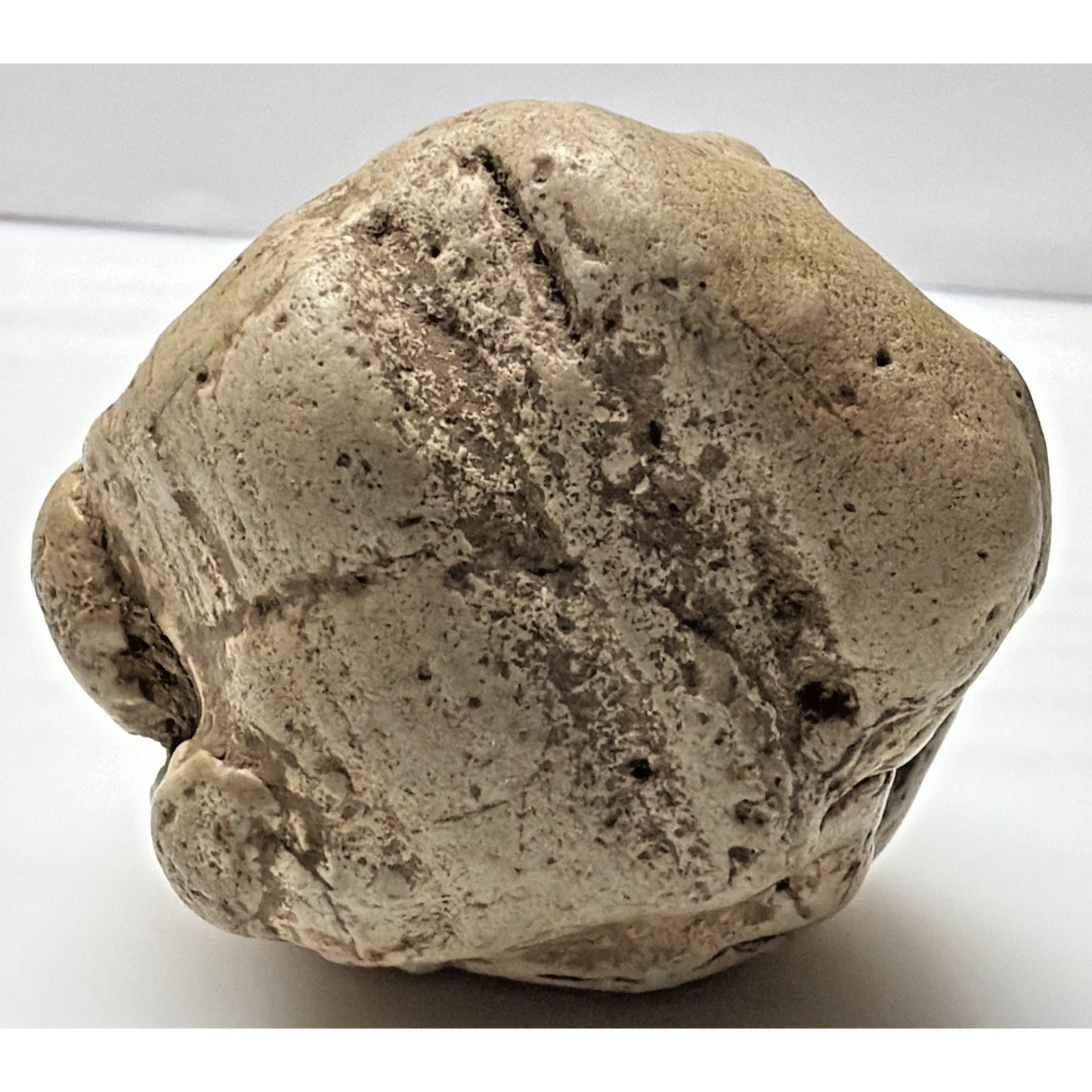 Native American Stone Effigy Portable Rock Art Rare Carved Artifact As Is Read