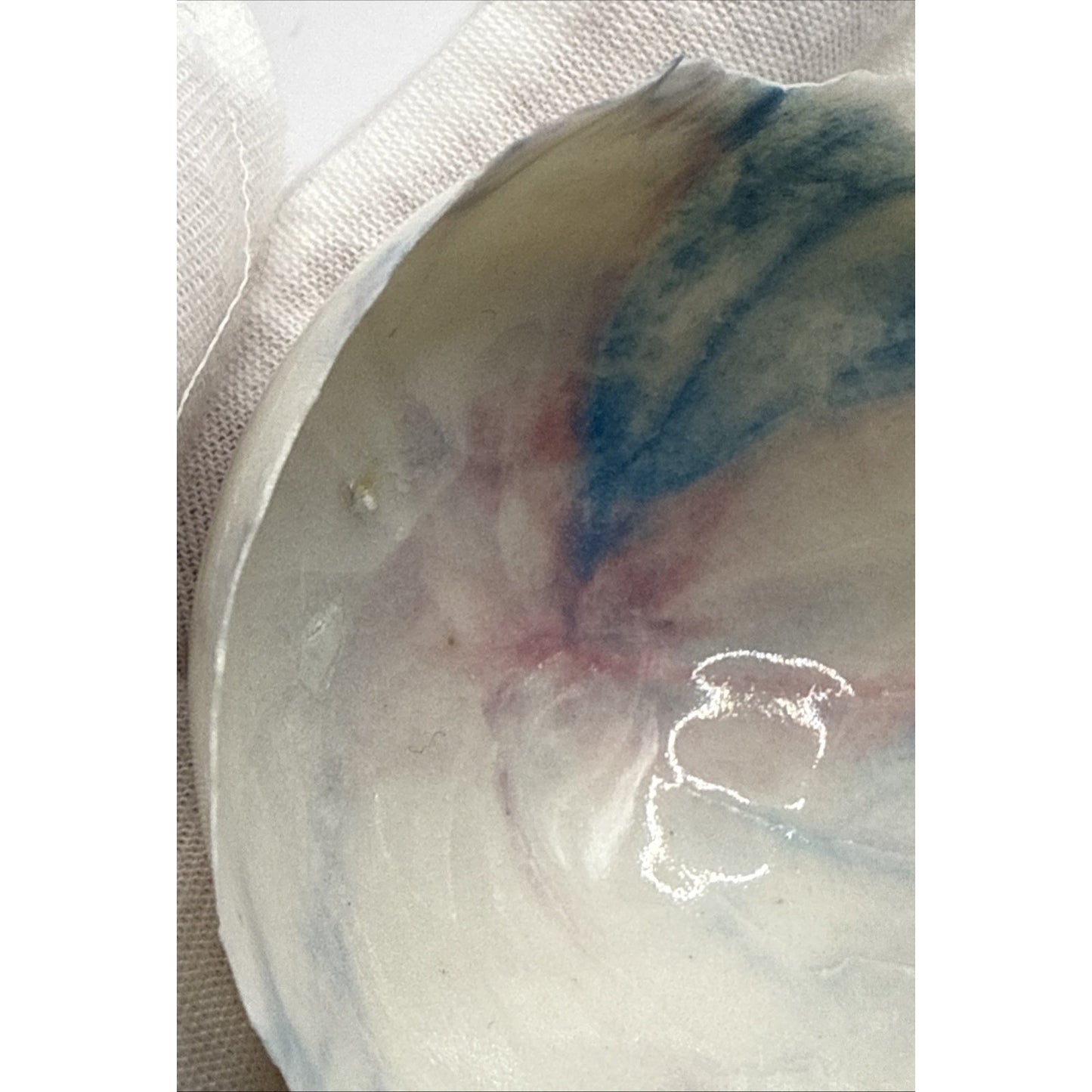 Peter Clark Pottery Fairy Dish Bowl New Zealand Porcelain Rough Edge As-Is