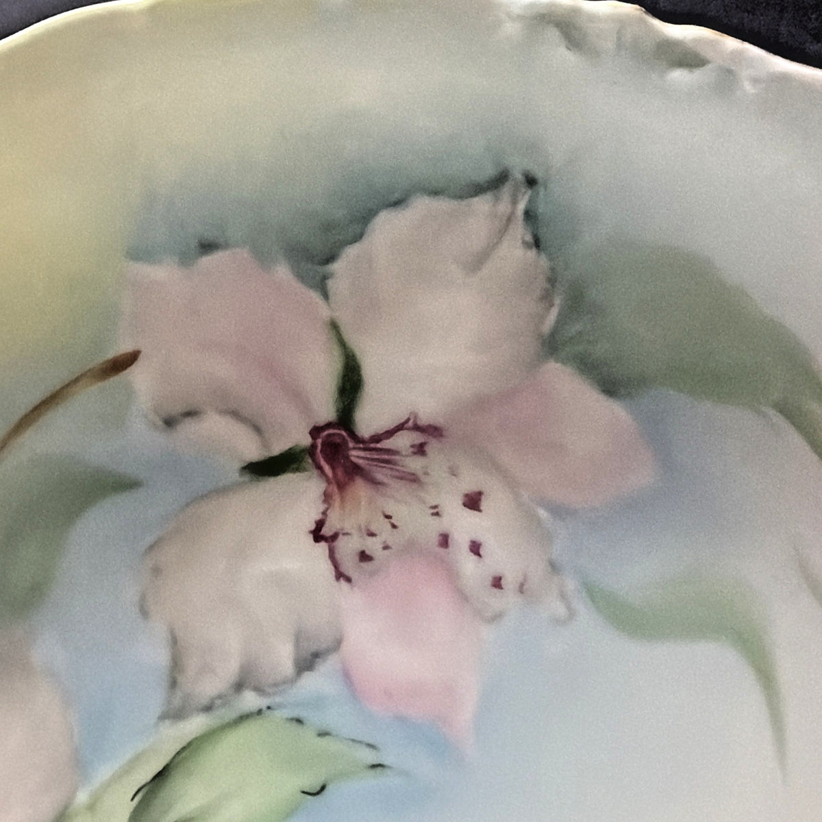 Antique Rosenthal Bavaria Hand Painted Lily Flower Plate Signed Gates Pink Green