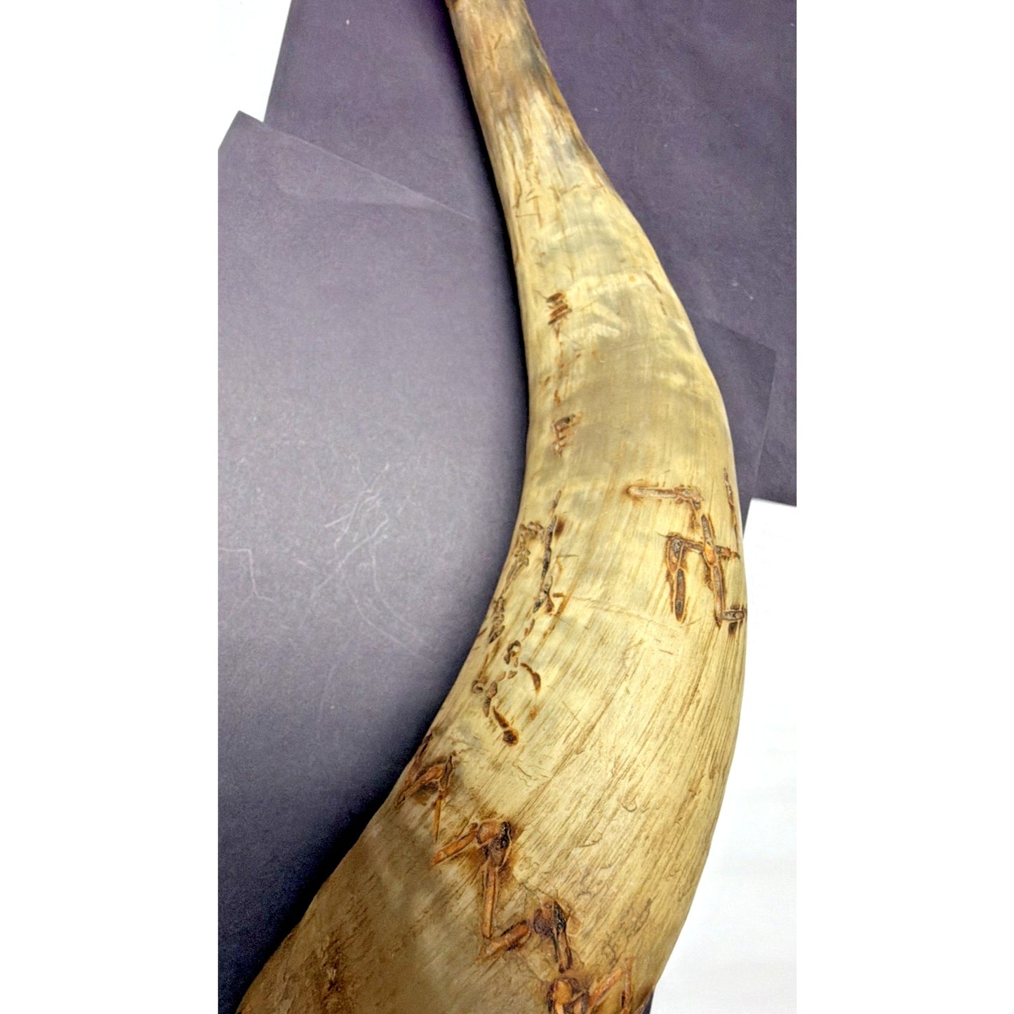 Old Powder Horn Vessel Branded Scrimshaw Engraved Symbols Initials As Is Read