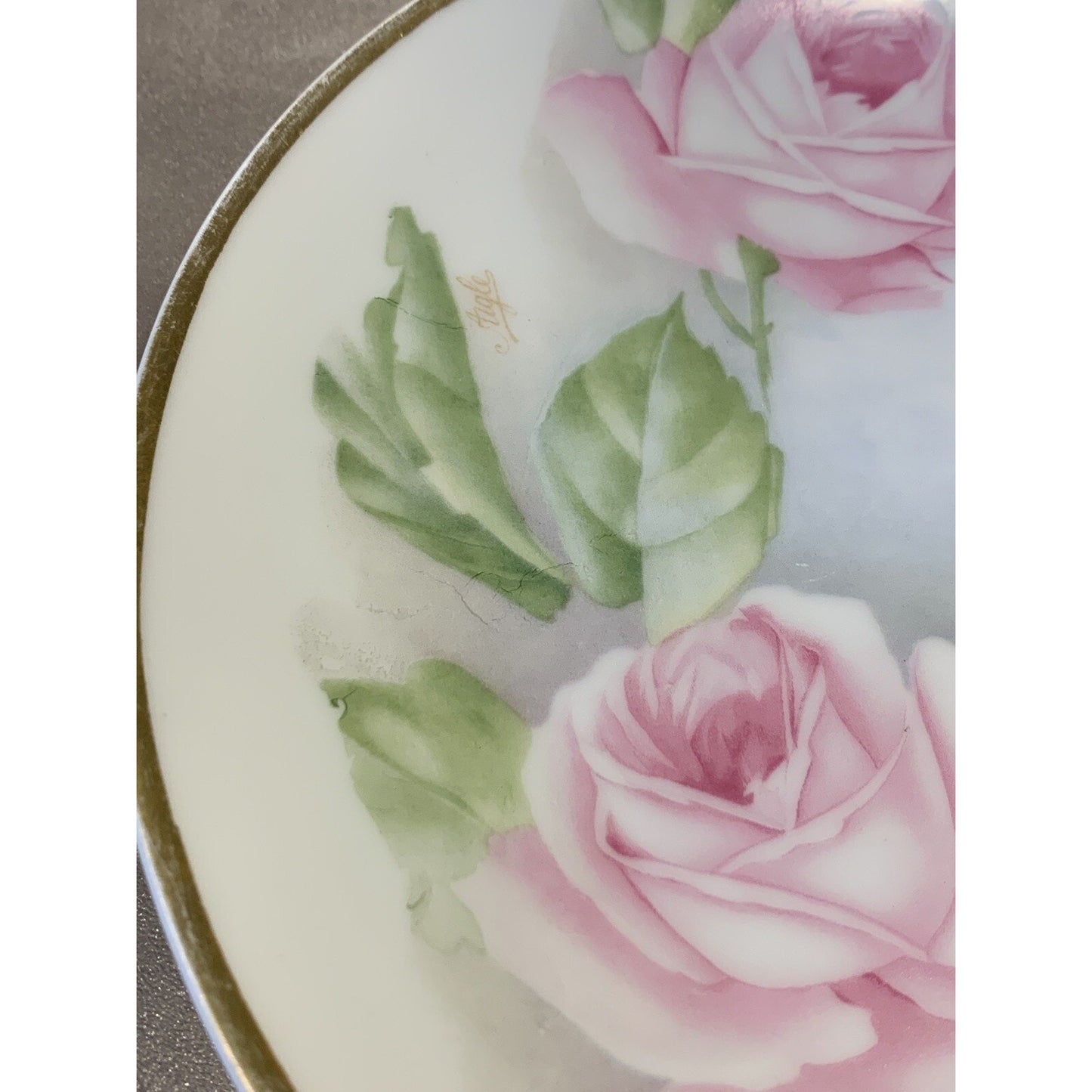 Old RC Rosenthal Kronach Bavaria Hand Painted Roses Floral Plate Signed 8.75"