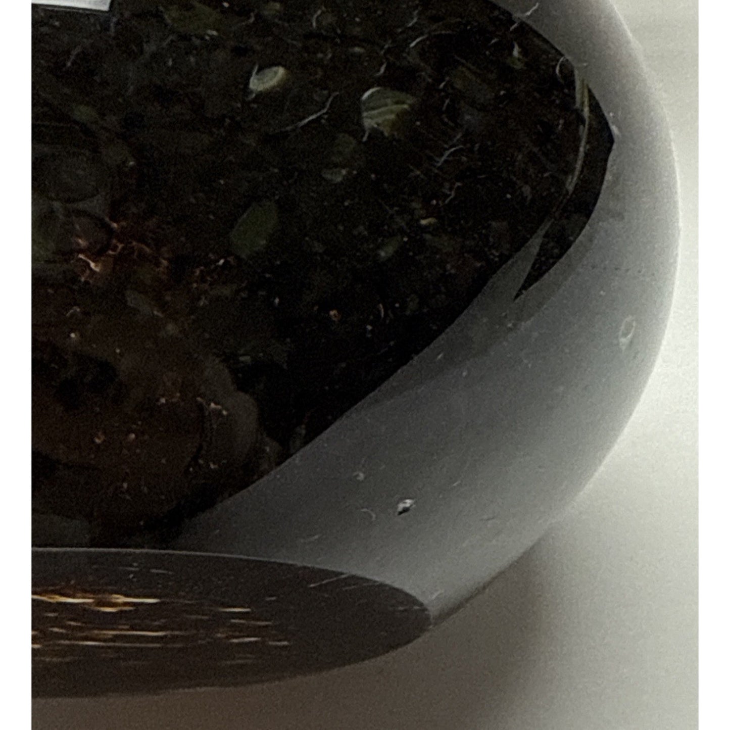 Wedgwood England Crystal Duck Mottled Black Brown Tortoise Glass Figurine Signed