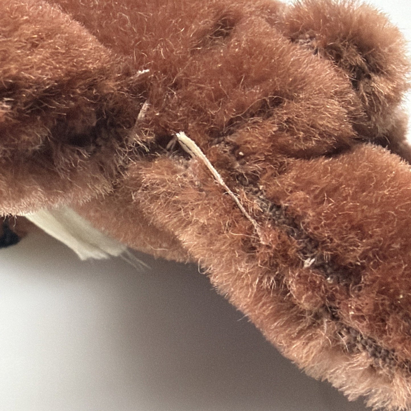 Old Teddy Bear Mohair Wool Mini 4" Shanghai Dolls Factory Two Tone As Is