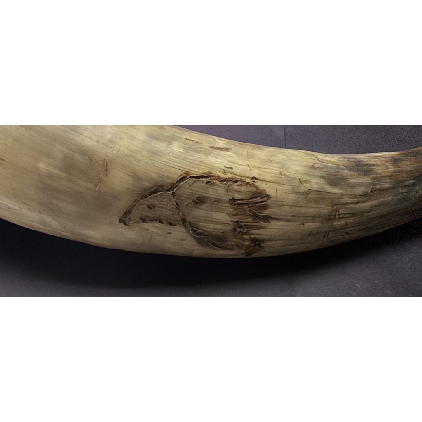 Old Powder Horn Vessel Branded Scrimshaw Engraved Symbols Initials As Is Read