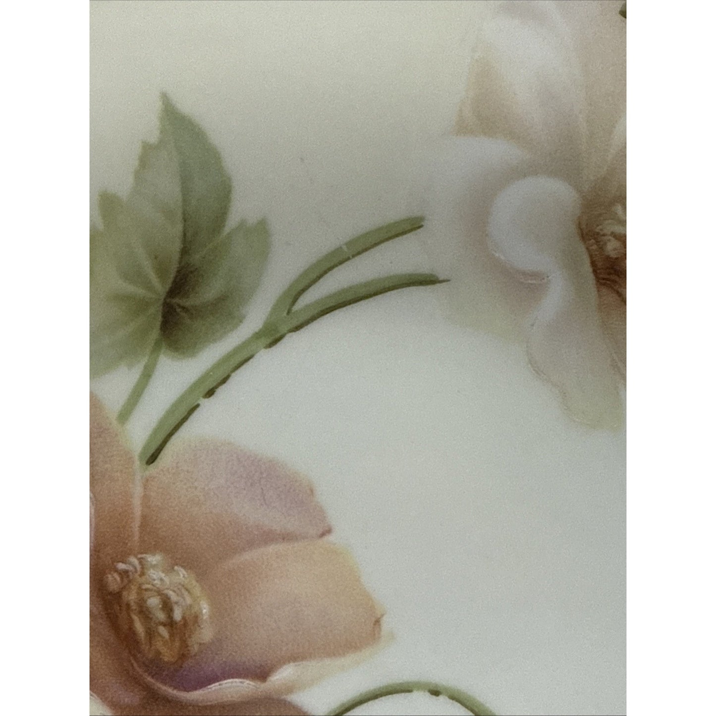 Old RS Prussia Germany Hand Painted Cabinet Plate Gold Floral Signed