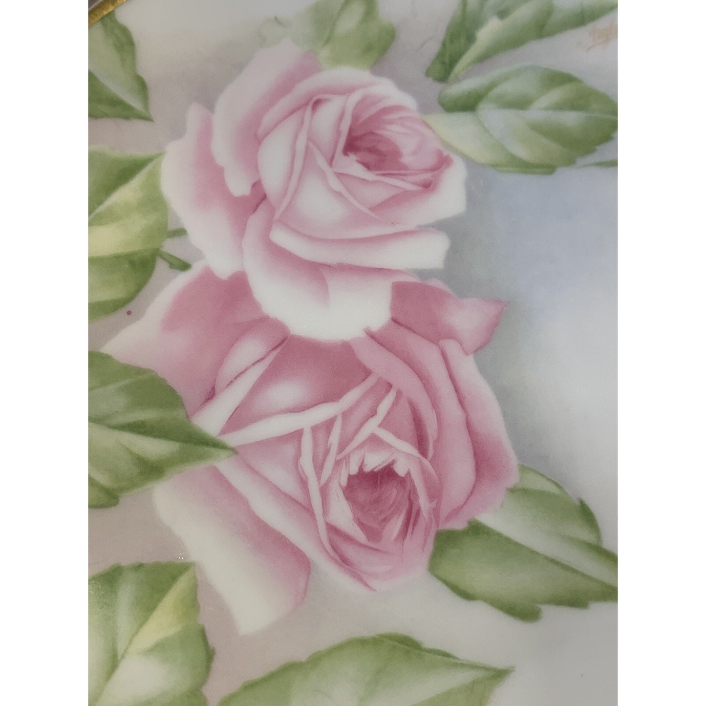 Old RC Rosenthal Kronach Bavaria Hand Painted Roses Floral Plate Signed 8.75"