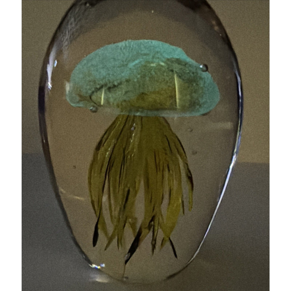 Dynasty Gallery Art Glass Jellyfish Paperweight Yellow Black UV Reactive Glows