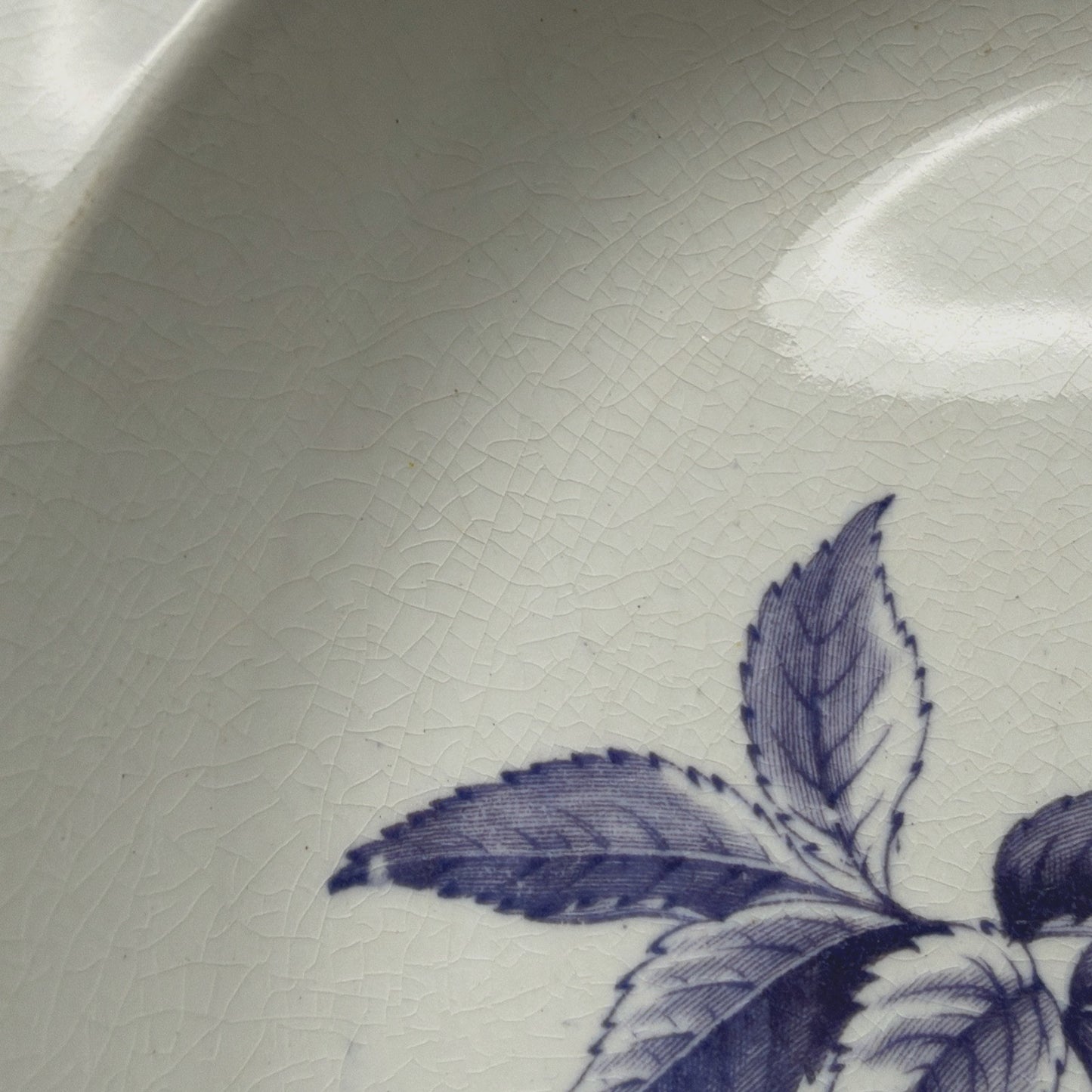 Antique Wedgwood Wild Rose Ironstone Blue Transferware Plate Bowl As Is