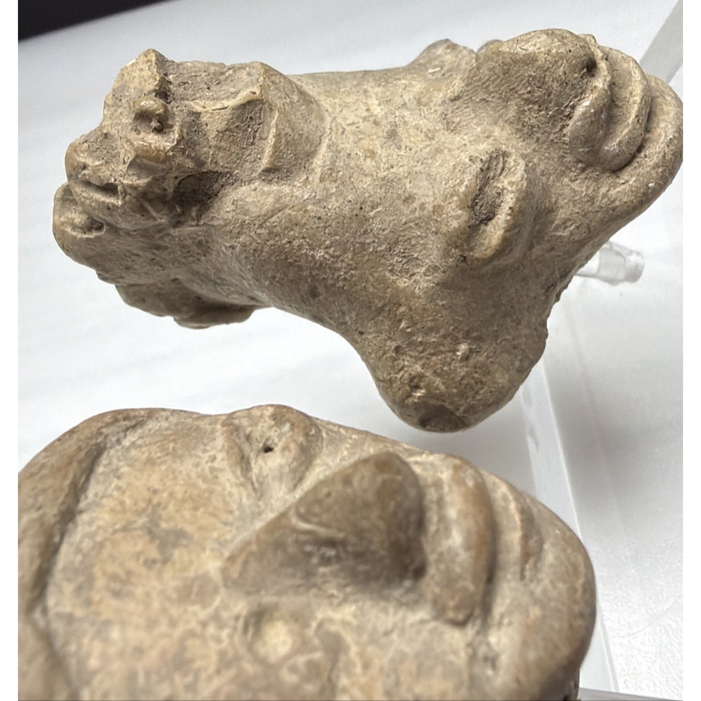 Pre-Columbian Pottery Head Fragment Acrylic Stand Tumaco La Tolita As Is Read