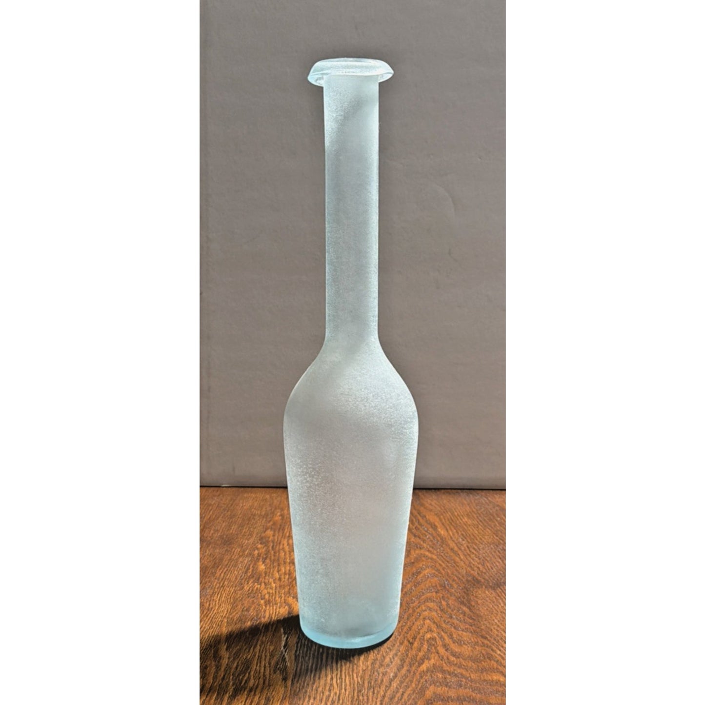 Rachel Ashwell Shabby Chic Scavo Texture Long Neck Glass Vase Rolled Lip Amphora