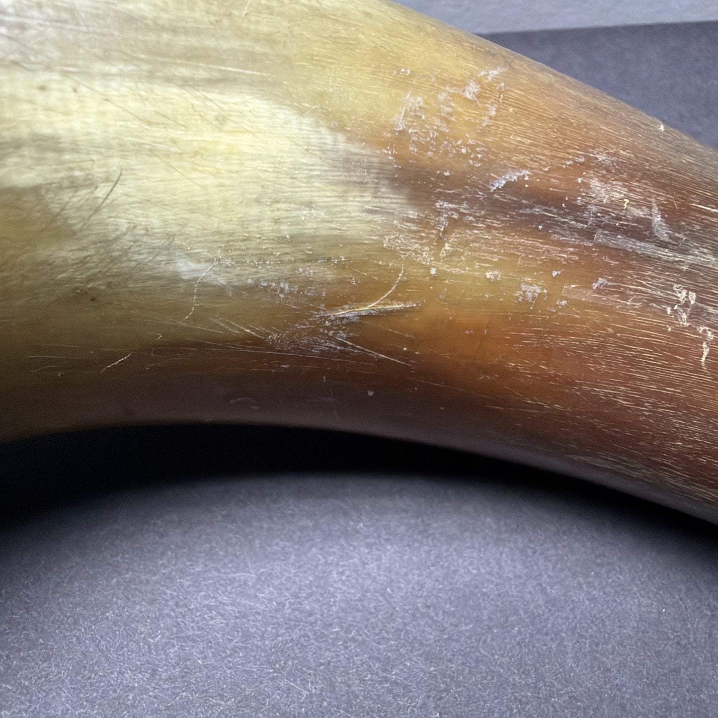 Old Primitive Powder Horn Powder Flask Wood Dome No Plug As Is
