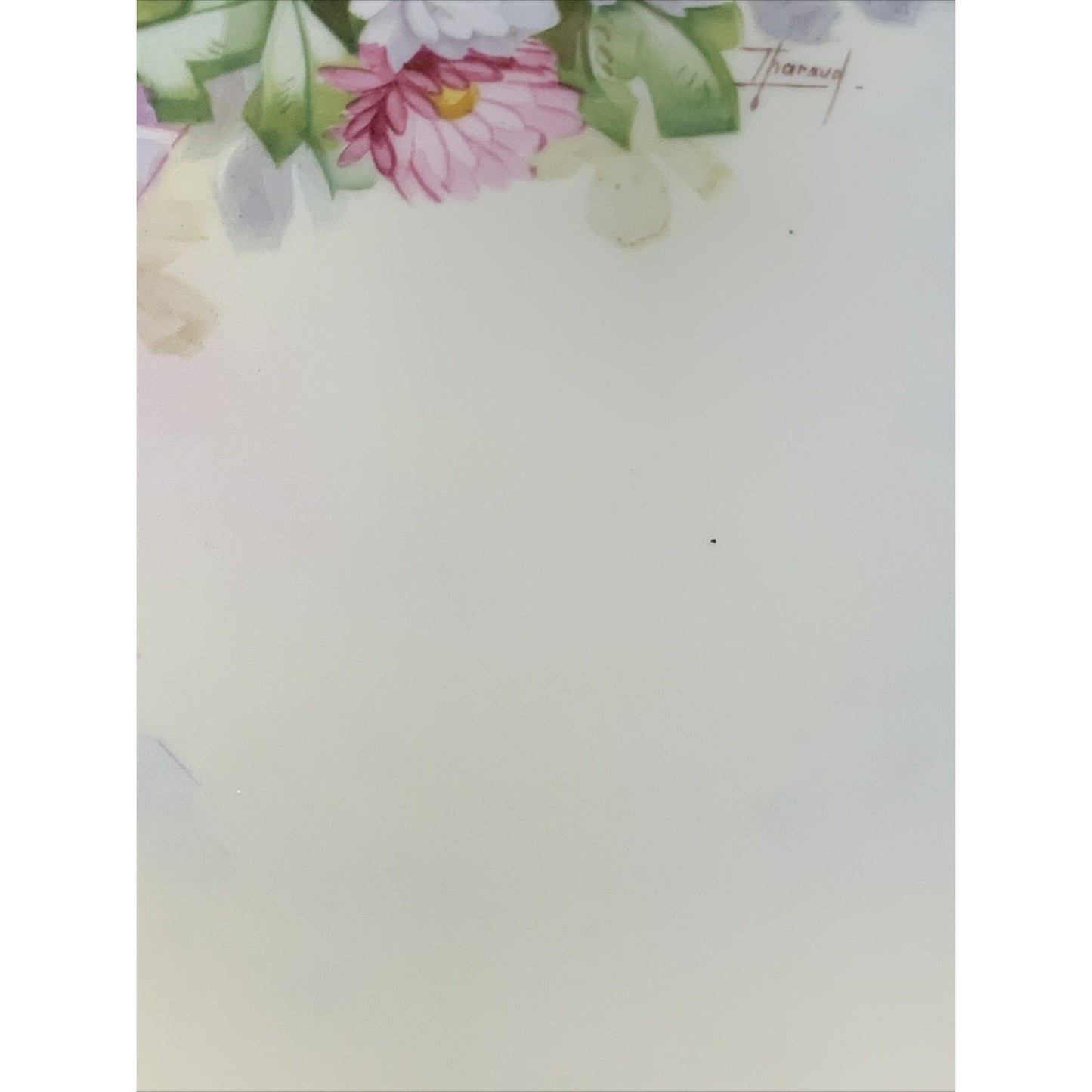 Old GD & Cie Avenir Limoges Hand Painted Plate Floral Gold Rim Signed Tharaud