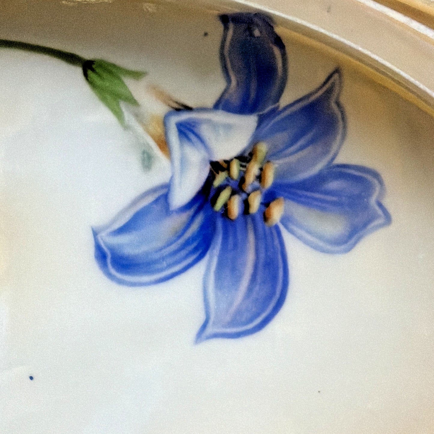 Antique RS Germany Hand Painted Luster Celery Tray Purple Floral Serving Vanity