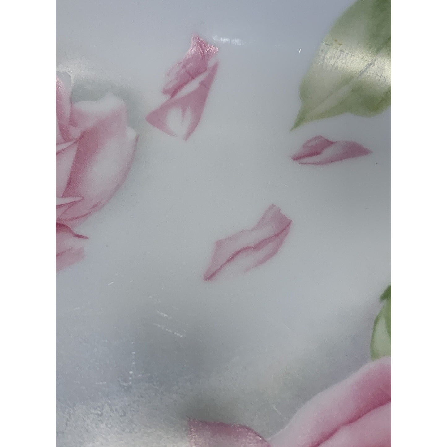 Old RC Rosenthal Kronach Bavaria Hand Painted Roses Floral Plate Signed 8.75"