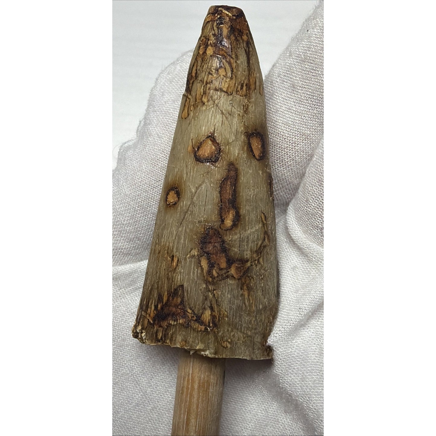 Old Powder Horn Vessel Branded Scrimshaw Engraved Symbols Initials As Is Read