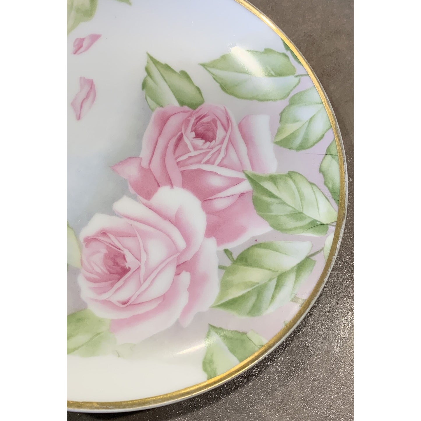 Old RC Rosenthal Kronach Bavaria Hand Painted Roses Floral Plate Signed 8.75"
