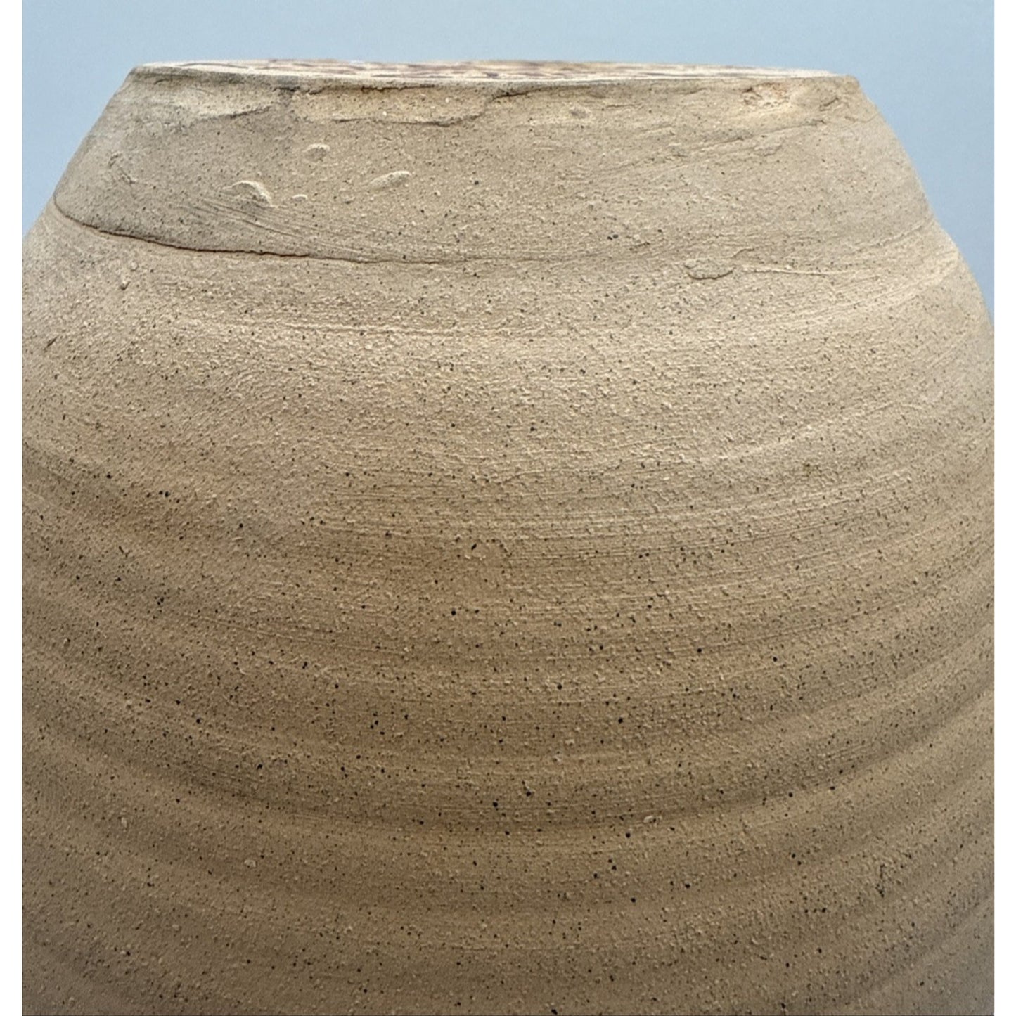 Old Patagonia Pottery Kissinger Double Handle Vase Blue Hibiscus Leaves Signed