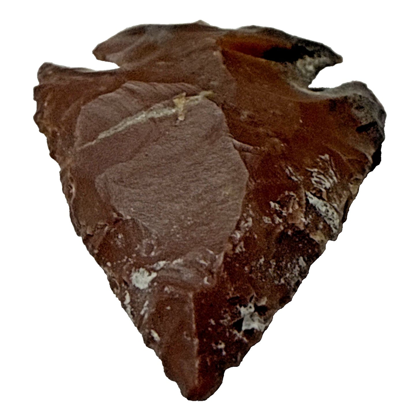 Chert Flint Serrated Edge Brown Gray Arrowhead