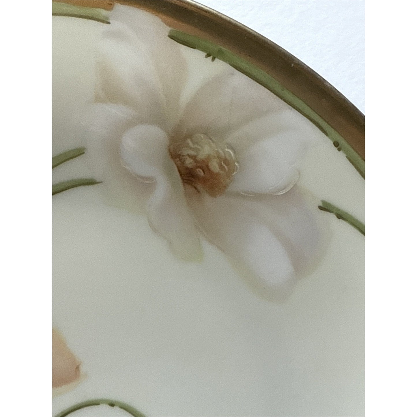 Old RS Prussia Germany Hand Painted Cabinet Plate Gold Floral Signed