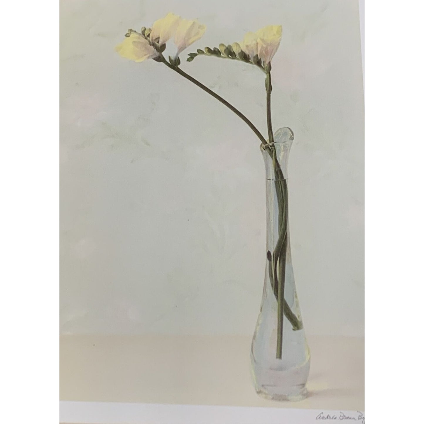 Andrea Braun Byrne Legacy Floral Print Matted Frame Yellow Flower Vase As Is