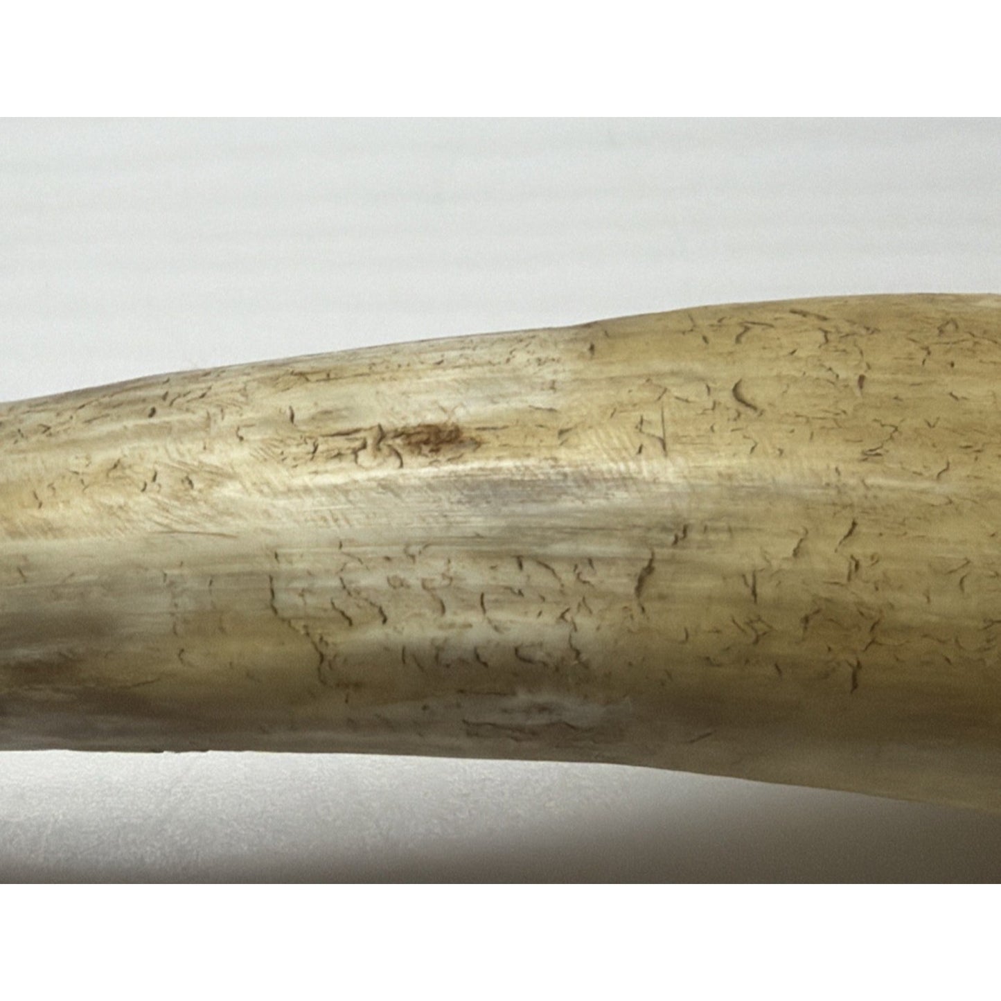 Old Primitive Powder Horn Powder Flask Wood Dome End Broken Plug As Is