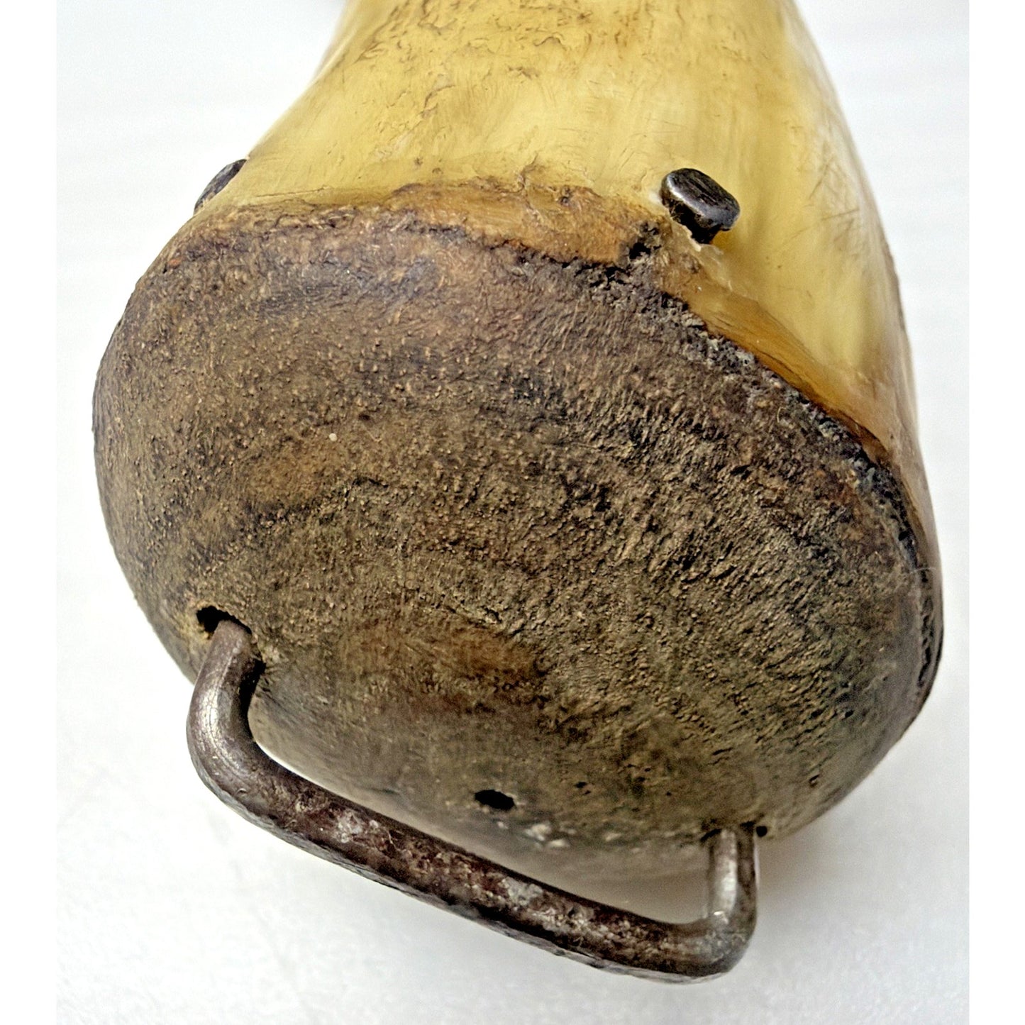 Old Primitive Powder Horn Powder Flask Wood Dome End Broken Plug As Is