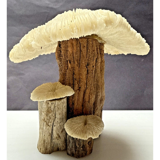 Vintage White Coral Brown Driftwood Petrified Wood Mushroom Sculpture As Is