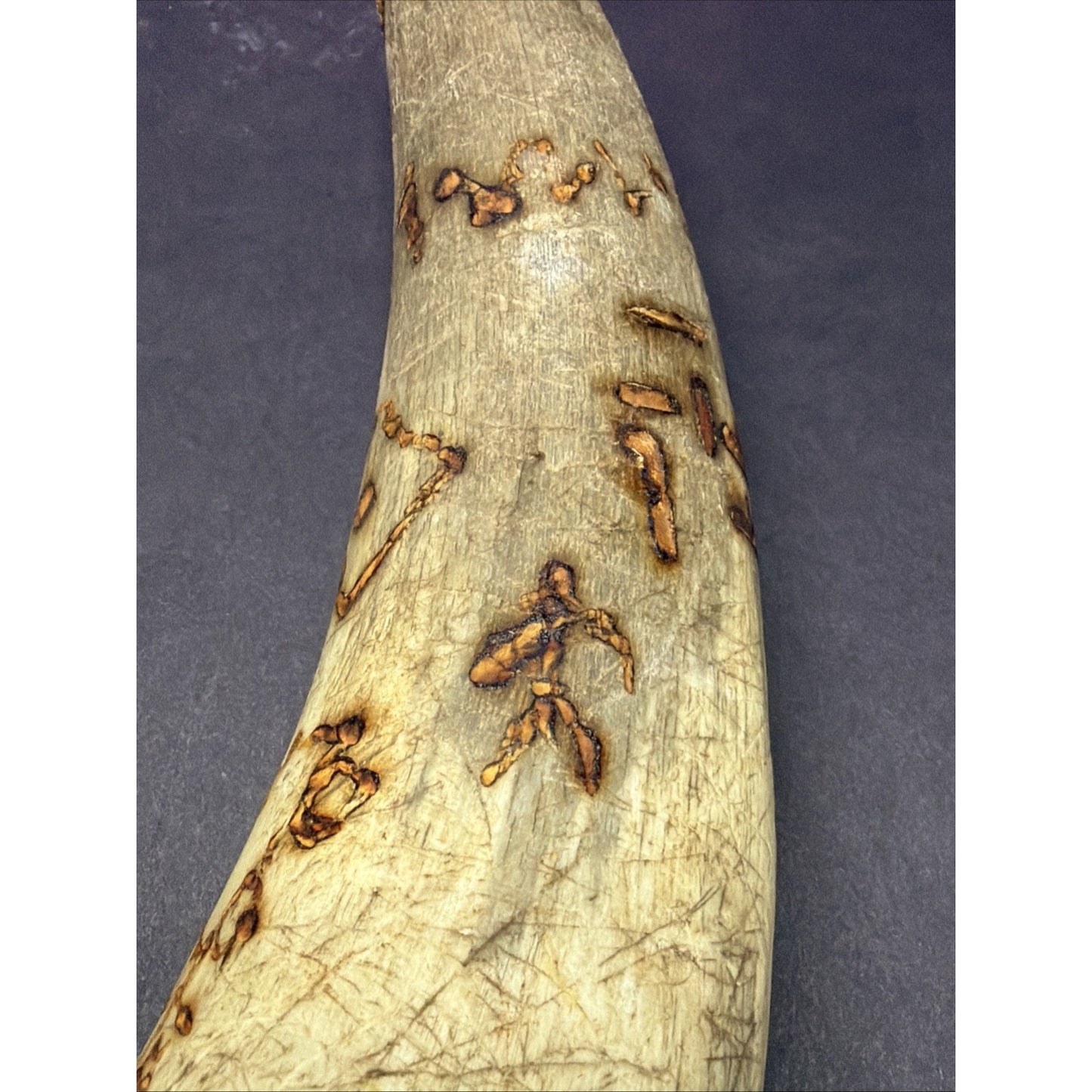 Old Powder Horn Vessel Branded Scrimshaw Engraved Symbols Initials As Is Read