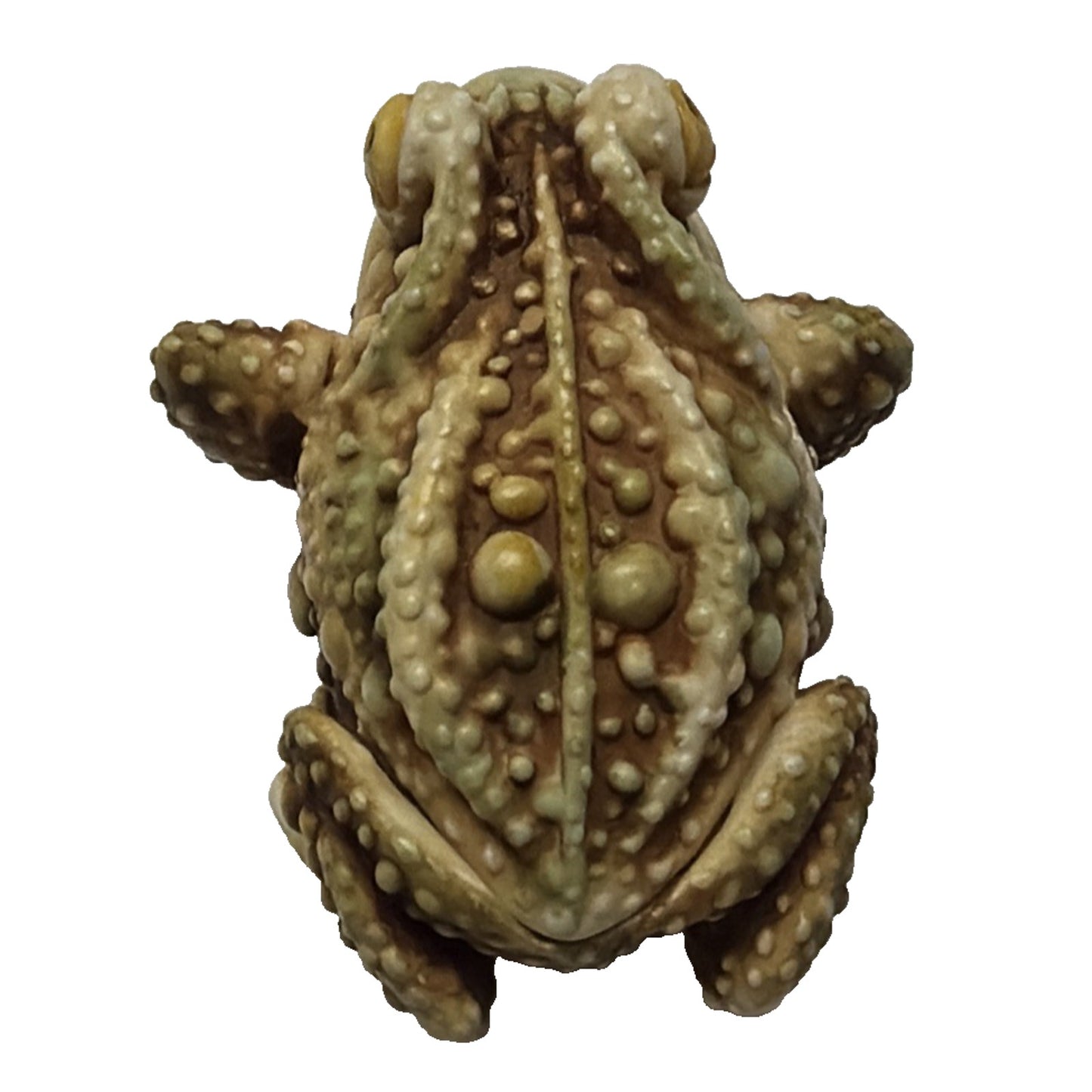 Vtg Harmony Kingdom Frog Toad Treasure Jests Princely Thoughts Figurine Trinket