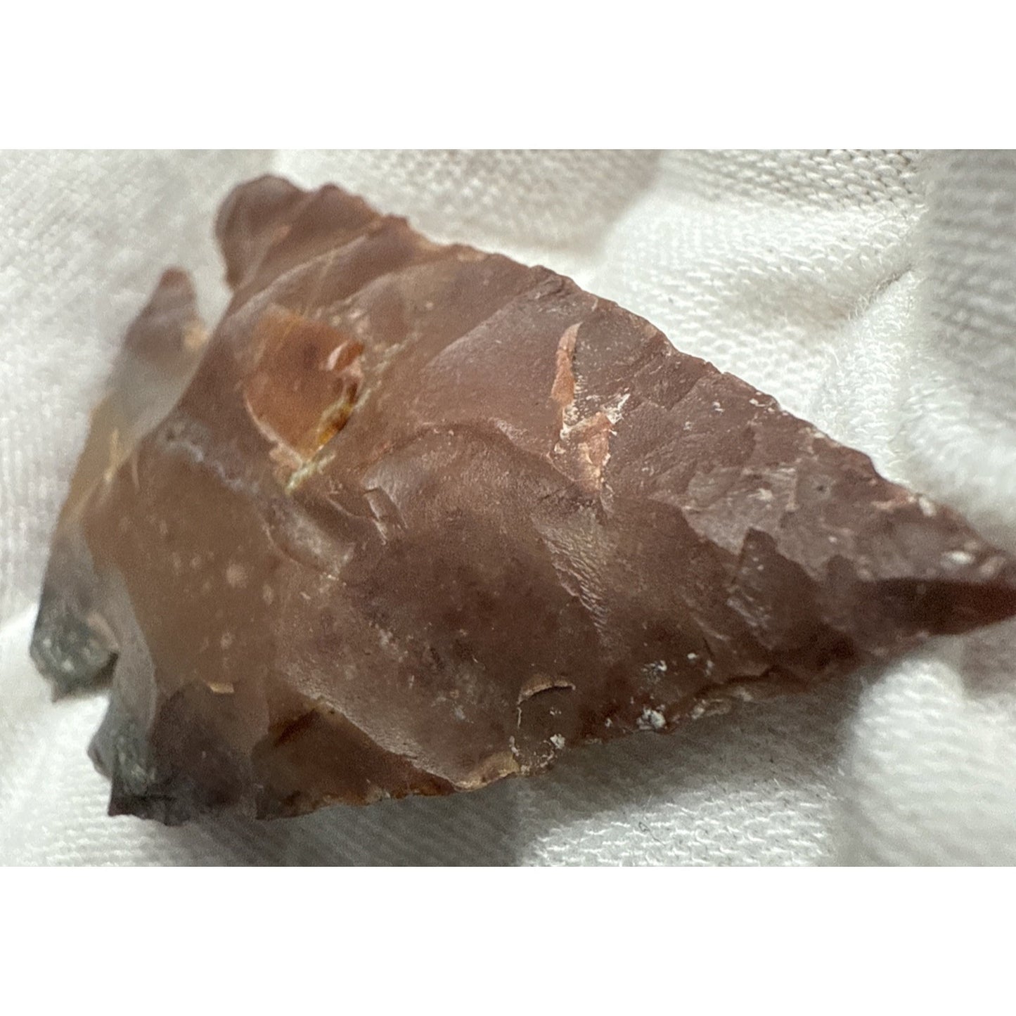 Chert Flint Serrated Edge Brown Gray Arrowhead
