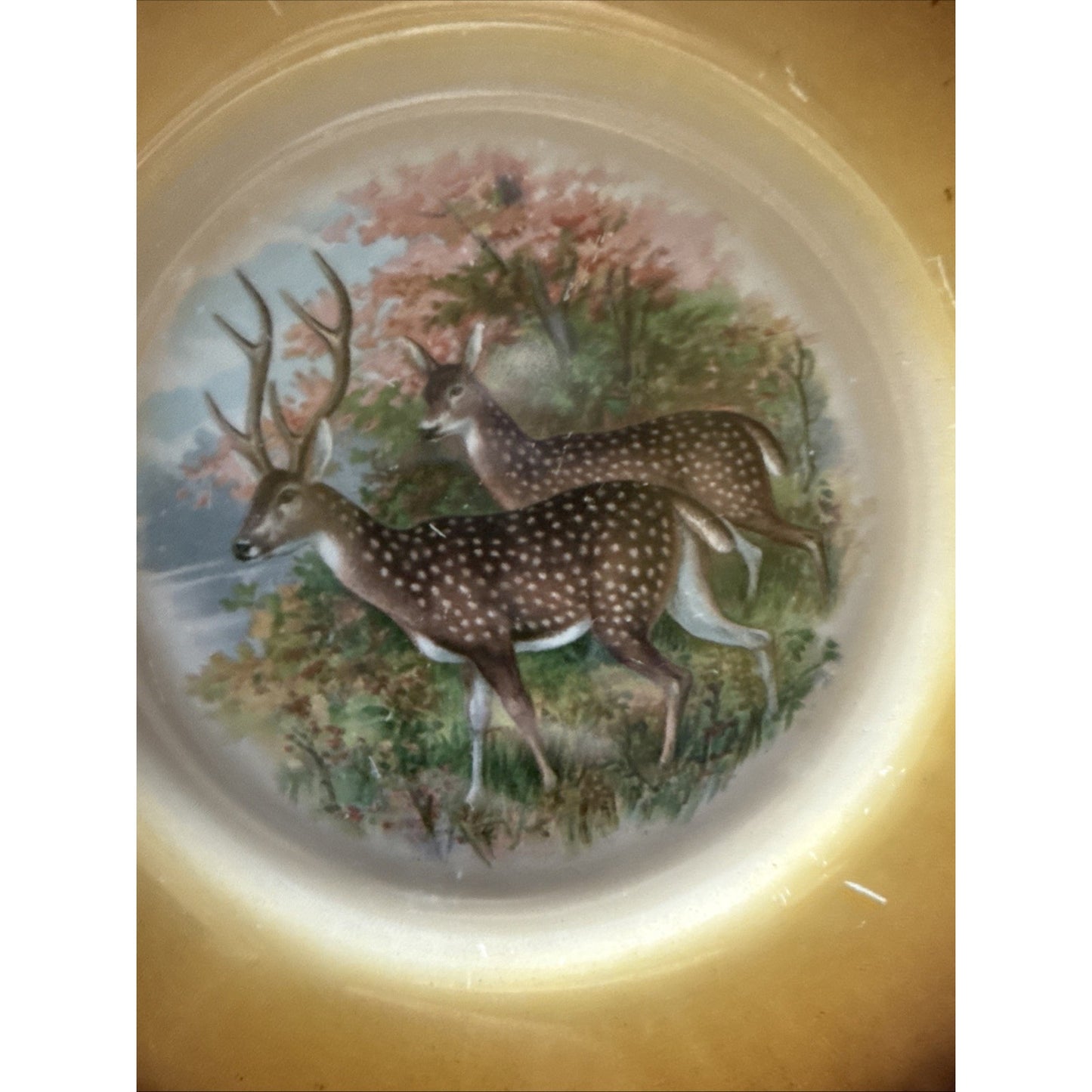 Old Latona Taylor Smith Taylor Hand Painted Plate Deer Rack Landscape Signed